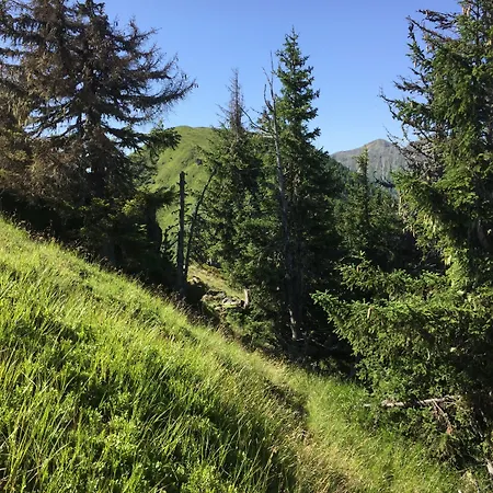 Appartements-Pension Lindenheim Apartment