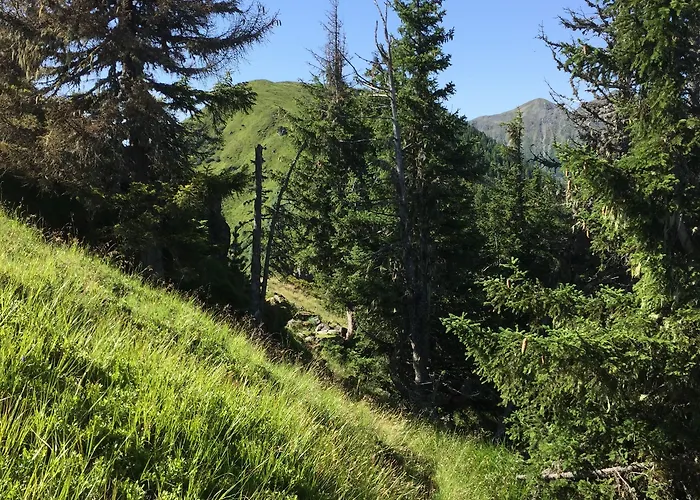 Appartements-pension Lindenheim Appartement